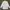 Zegna Luxury Minimalist Formal shirt Pria white photo 1