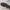 Nike Streetwear Sneakers Pria brown black photo 8