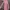 Y2K Indie Bodysuit Wanita pink photo 1