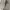 GAP Streetwear Y2K Jeans Pria tan cream photo 4