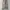 GAP Streetwear Y2K Jeans Pria tan cream photo 1