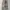 GAP Streetwear Y2K Jeans Pria tan cream photo 3