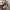 GAP Streetwear Y2K Jeans Pria tan cream photo 2