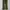 Vuja Dé Streetwear Y2K Casual pants Pria green black photo 1