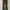 Vuja Dé Streetwear Y2K Casual Pants Pria Green Black