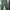 Vintage Casual Culotte Wanita green photo 1