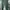 Vintage Casual Culotte Wanita green photo 4