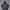 GAP Sportswear Hoody Kids navy photo 1