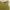 Minimalist Casual dress Wanita gold photo 2