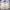 Japanese brand Biker Casual Bomber jacket Pria cream photo 1