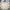 Japanese brand Biker Casual Bomber jacket Pria cream photo 5
