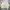 Japanese brand Vintage Casual Harrington jacket Pria cream photo 1