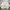 Japanese Brand Vintage Casual Harrington Jacket Pria Cream