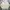 Japanese brand Vintage Casual Harrington jacket Pria cream photo 5