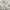 Japanese brand Vintage Casual Harrington jacket Pria cream photo 3