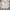 Japanese brand Vintage Casual Harrington jacket Pria cream photo 4