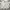 Japanese brand Vintage Casual Harrington jacket Pria cream photo 1