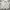 Japanese Brand Vintage Casual Harrington Jacket Pria Cream
