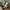 Nike Streetwear Casual Sneakers Pria white black photo 6