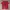 Converse Streetwear T-shirt Pria Red