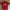 Vintage Jersey Pria red photo 1