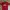 Vintage Jersey Pria Red