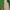 Diadora Casual Sneakers Pria white green photo 5