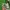 Diadora Casual Sneakers Pria white green photo 4
