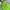 Sportswear Track jacket Pria green photo 2