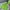 Sportswear Track jacket Pria green photo 1