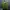 Sportswear Track jacket Pria green photo 4