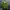 Sportswear Track jacket Pria green photo 5