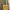 Charles And Keith Casual Shoulder Bag Wanita Yellow