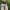 New Balance Streetwear Sportswear Sneakers Wanita white photo 2