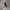 Jambangee Vintage Streetwear Sweater Pria white gray photo 2