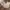 Clarks Streetwear Casual Sandals & slide Pria cream photo 4