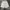 Adidas Sportswear Short Pria white photo 2