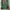 Fjällräven Avant Garde Casual Backpack Wanita multicolor green photo 3