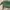 Fjällräven Avant Garde Casual Backpack Wanita multicolor green photo 4