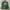 Fjällräven Avant Garde Casual Backpack Wanita multicolor green photo 1