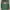 Fjällräven Avant Garde Casual Backpack Wanita multicolor green photo 2