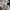 Fred Perry Indie Casual Polo shirt Pria white black photo 5