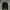 Tommy Hilfiger Sportswear Casual Puffer jacket Pria black gray photo 1
