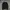 Tommy Hilfiger Sportswear Casual Puffer Jacket Pria Black Gray