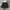 Adidas Sportswear Short Pria black photo 2