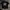 Adidas Sportswear T-shirt Pria black photo 1
