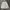 Asics Sportswear Short Pria white photo 2