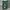 Marvel Sportswear Short Pria green photo 1