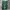 Marvel Sportswear Short Pria green photo 3