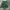 Marvel Sportswear Short Pria green photo 2